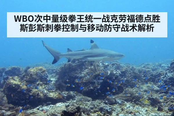 WBO次中量级拳王统一战克劳福德点胜斯彭斯刺拳控制与移动防守战术解析